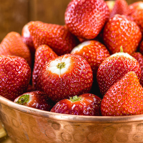 10 pcs. Climbing hanging strawberry – FRIGO plants