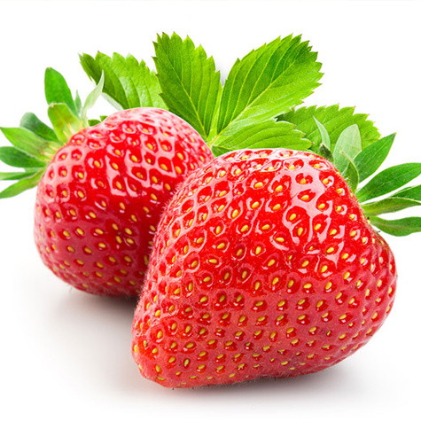 10 pcs. Elsanta strawberry, best dessert variety – Frigo plants
