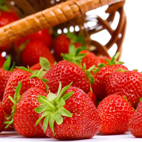 10 pcs. Florence strawberry disease-resistant late-season – Frigo plants