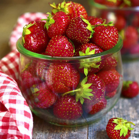 10 pcs. Honeoye strawberry very early dessert variety – Frigo plants