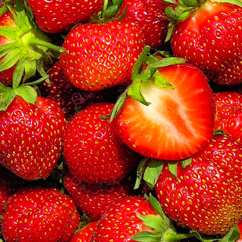 10 pcs. Elsanta strawberry, best dessert variety – Frigo plants